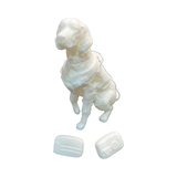 Knight Customs 1/10 Trail Dog- Billy Goat Davis